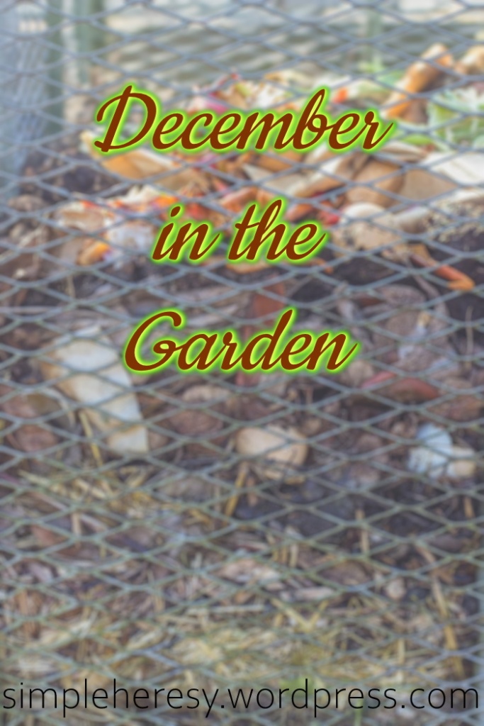 What to do in December in the garden.