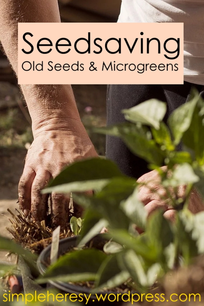 what is seedsaving how to tell if seeds are viable how to grow microgreens how to grow sprouts